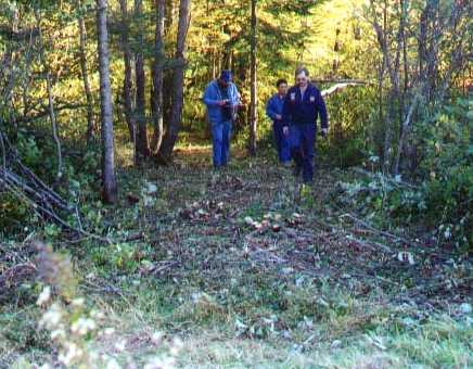 Looking south along the roadbed.